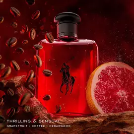 Shop Perfume and Cologne Refills | Ralph Lauren Fragrances
